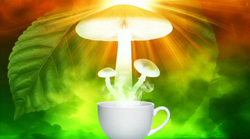 Mushroom Coffee: Morning Game-Changer