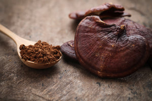 Reishi mushroom with a spoon of brown powder.