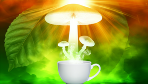 Mushroom Coffee: Morning Game-Changer