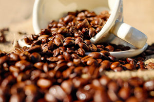Why are some coffee beans oily?