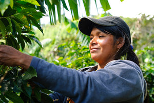 Closing the Gender Gap: Five Ways to Support Women Through Coffee
