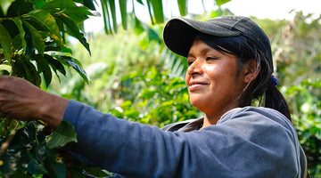 Closing the Gender Gap: Five Ways to Support Women Through Coffee
