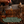 Load image into Gallery viewer, IMMUNITY BOOST Medium Roast
