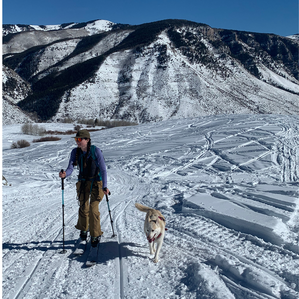 A person cross-country skiing with poles on a snowy mountain trail, accompanied by a light-colored dog, with snow-covered mountains and a blue sky in the background.