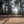 Load image into Gallery viewer, Sunlight through forest trees with Peak State Brain Sustain coffee scene

