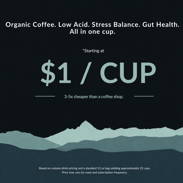 BRAIN SUSTAIN Light Roast