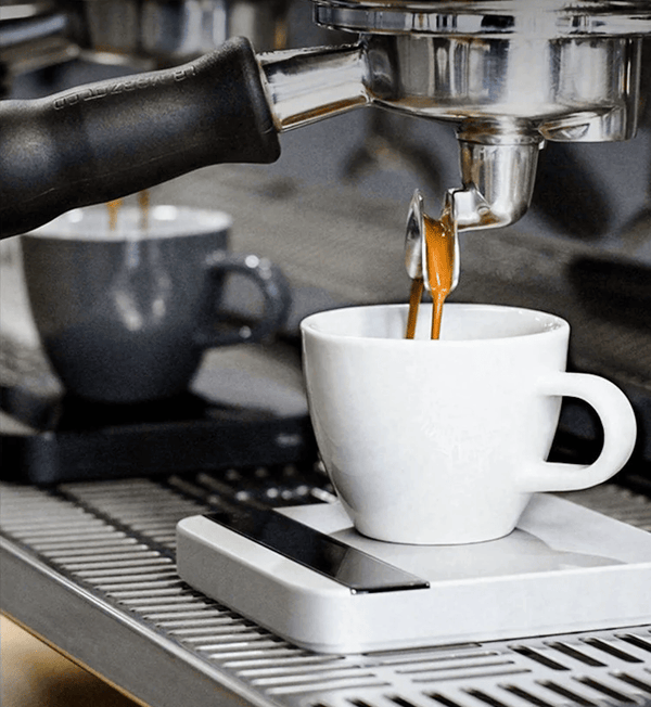 Precision Coffee Scale with Timer - made for Home Brewing