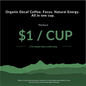 CALM DESCENT Water Process Decaf
